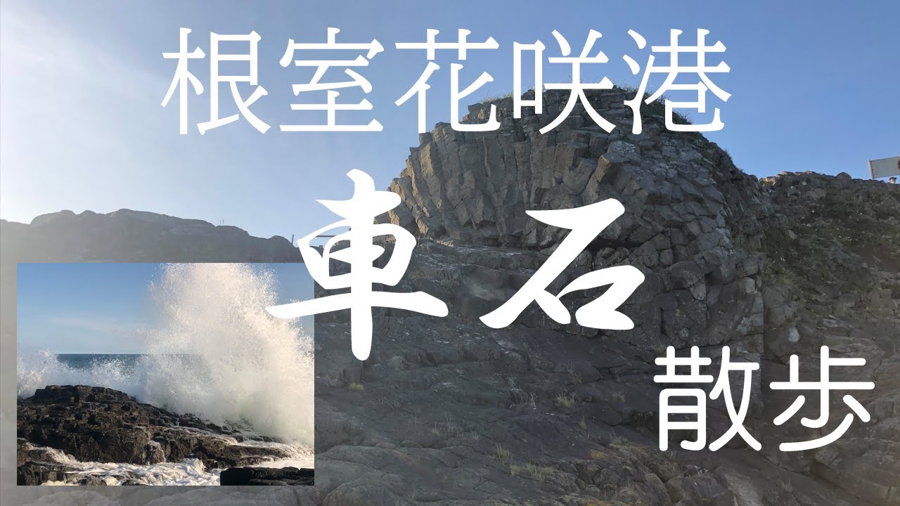 根室花咲港車石散歩