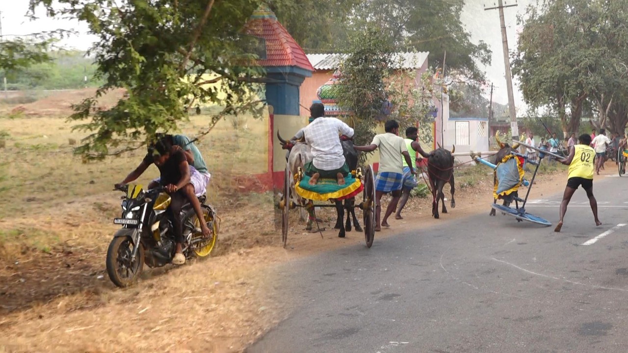 ETSS - கல்லல் பெரியமாடு - 28/02/2026