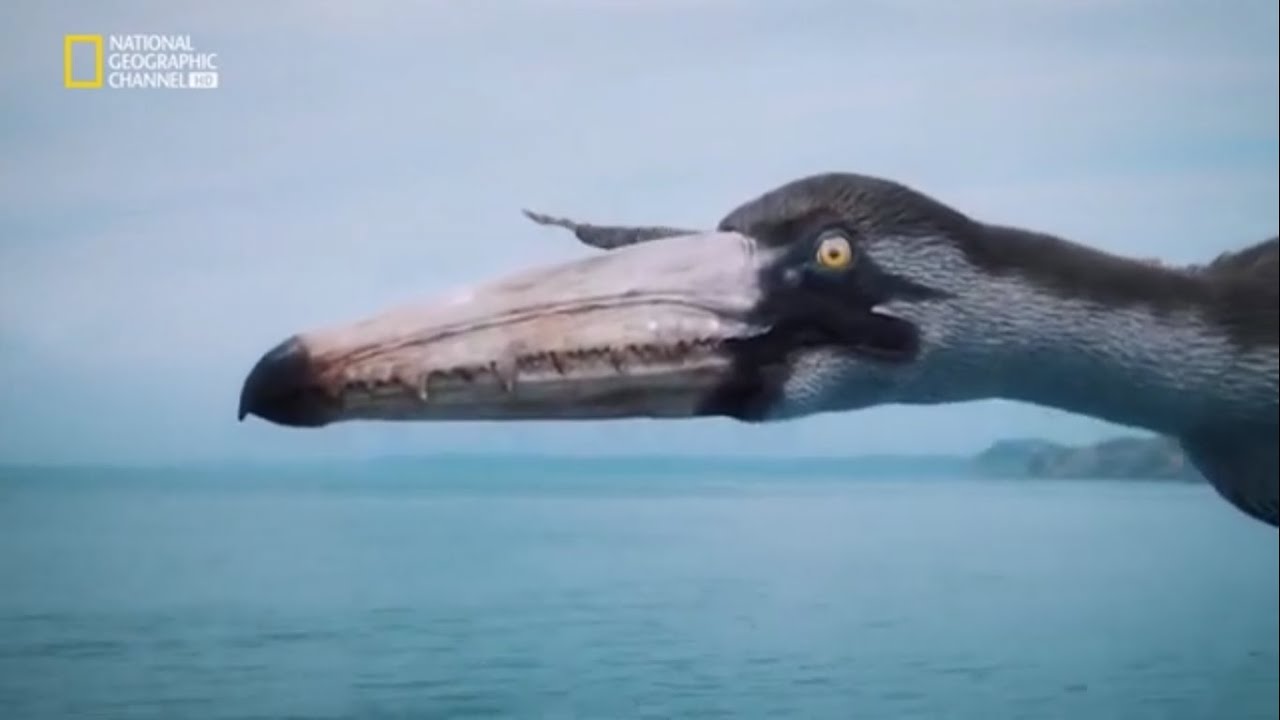 10 BESTIAS M&Aacute;S GRANDES QUE HAN HABITADO EL MUNDO - Documental