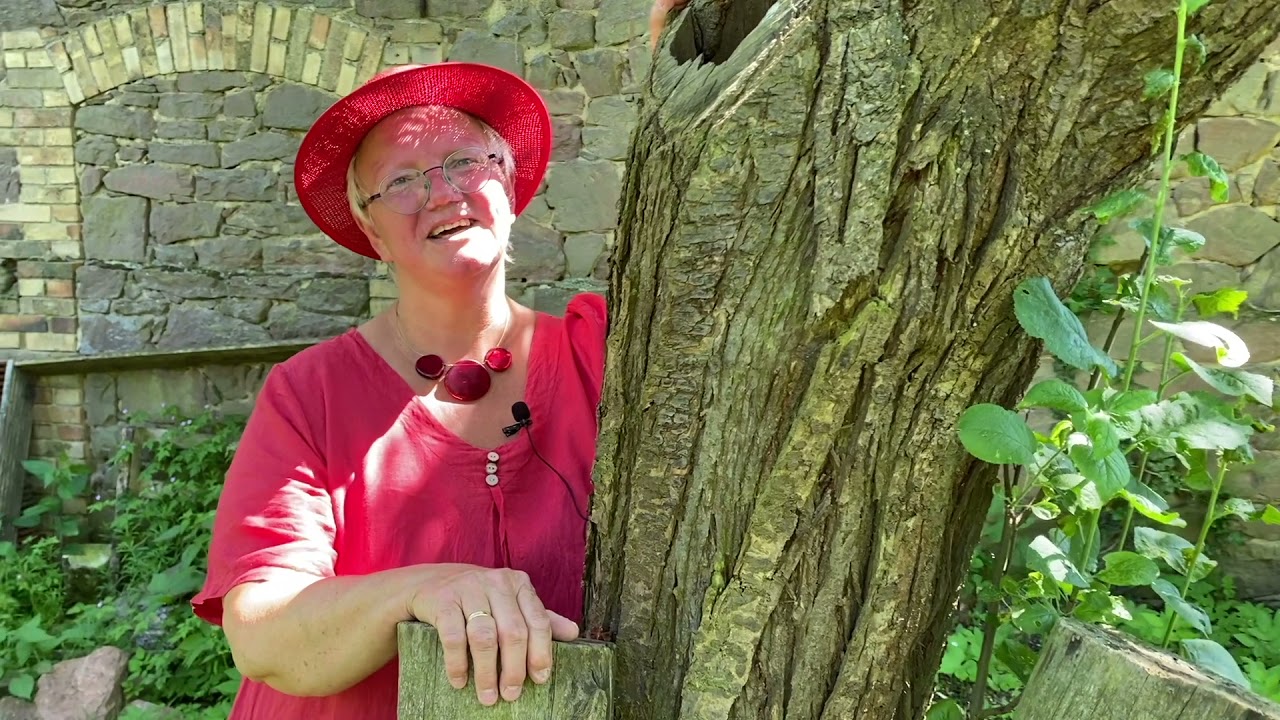 Ev. Kirchspiel Sipperhausen - Andacht zu Johannis aus Caßdorf-Holzhausen