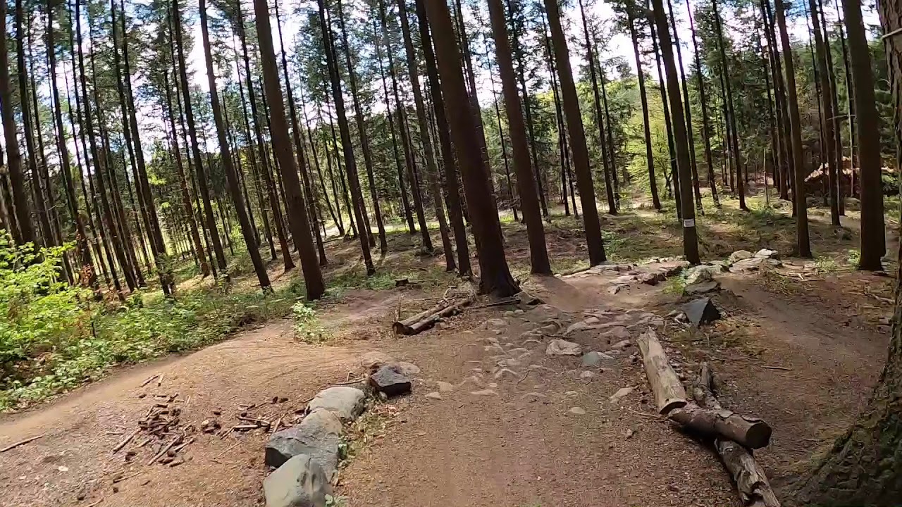 Geels skov Pt 1