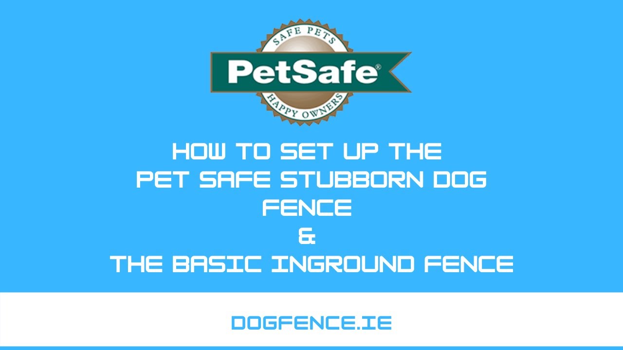 How to set up the Petsafe Stubborn Dog Fence and the Basic Inground system