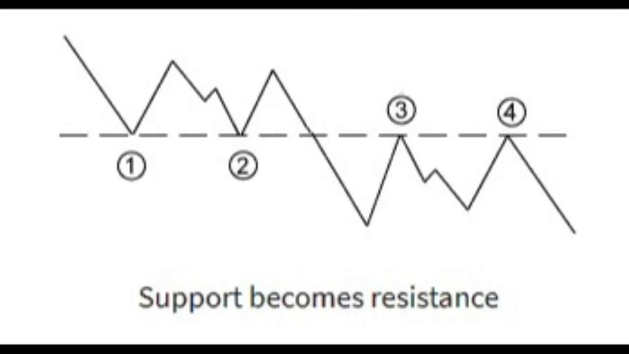 How to Find Multi-bagger Stocks in ShareMarket #jackpotpick