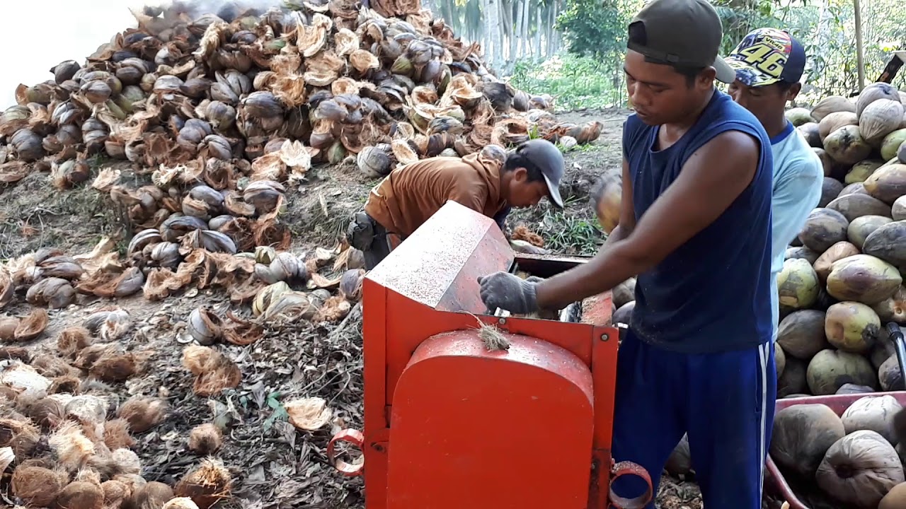 Mesin pengupas kelapa produksi jalur 5 banyuasin sumatera selatan