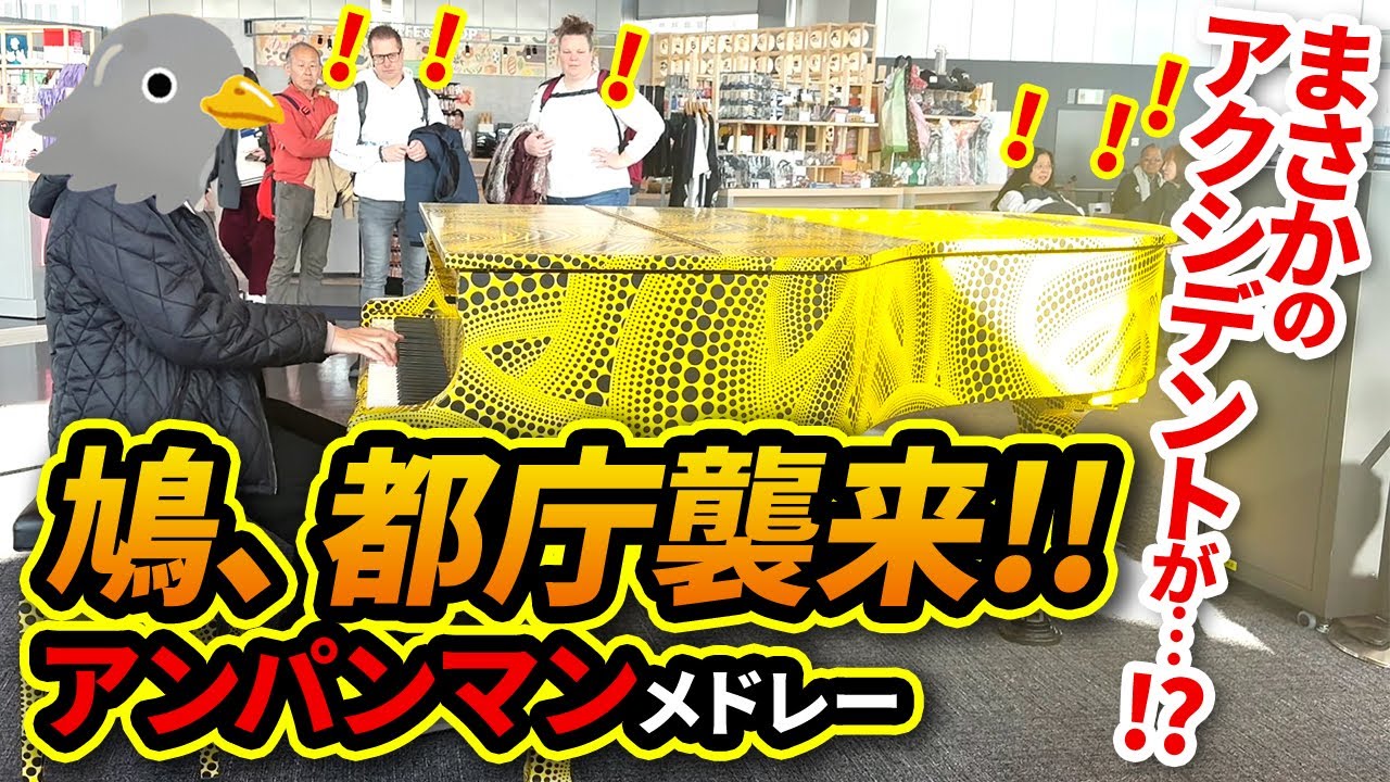 【都庁ピアノ】アンパンマンメドレーを演奏する鳩を襲うアクシデント!!【ストリートピアノ】