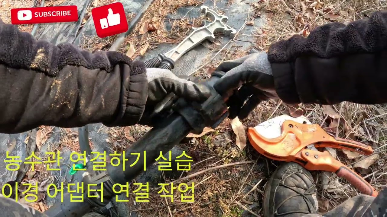 농수관 연결하기 실습) 30미리와 20미리 파이프를 이경 어댑터로 연결하기. #블루베리 #blueberry #관수시설 20260215.