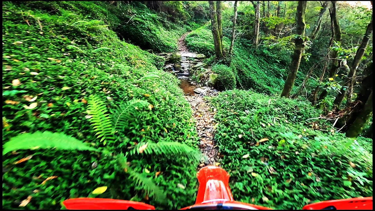 BASIC ENDURO - BEAUTIFUL SINGLE TRACK @MARCO DE CANAVESES