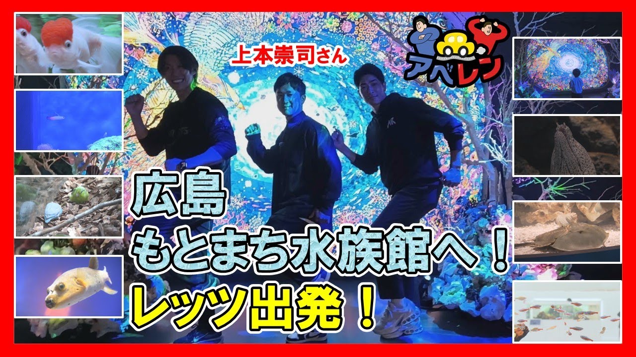 【アベレン】「広島もとまち水族館」を上本崇司さんと訪ねる｜ピタニュー