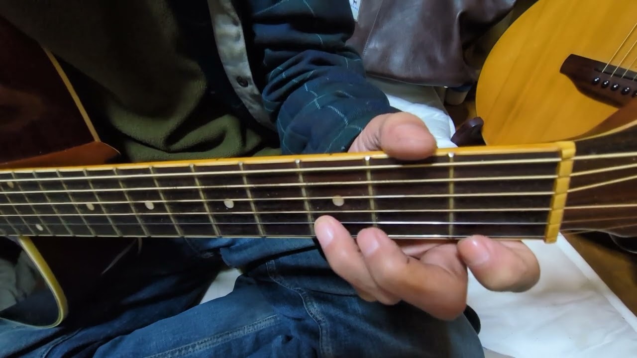 やのちんのカラオケ演歌ギター😂八代亜紀（しのび恋）cover