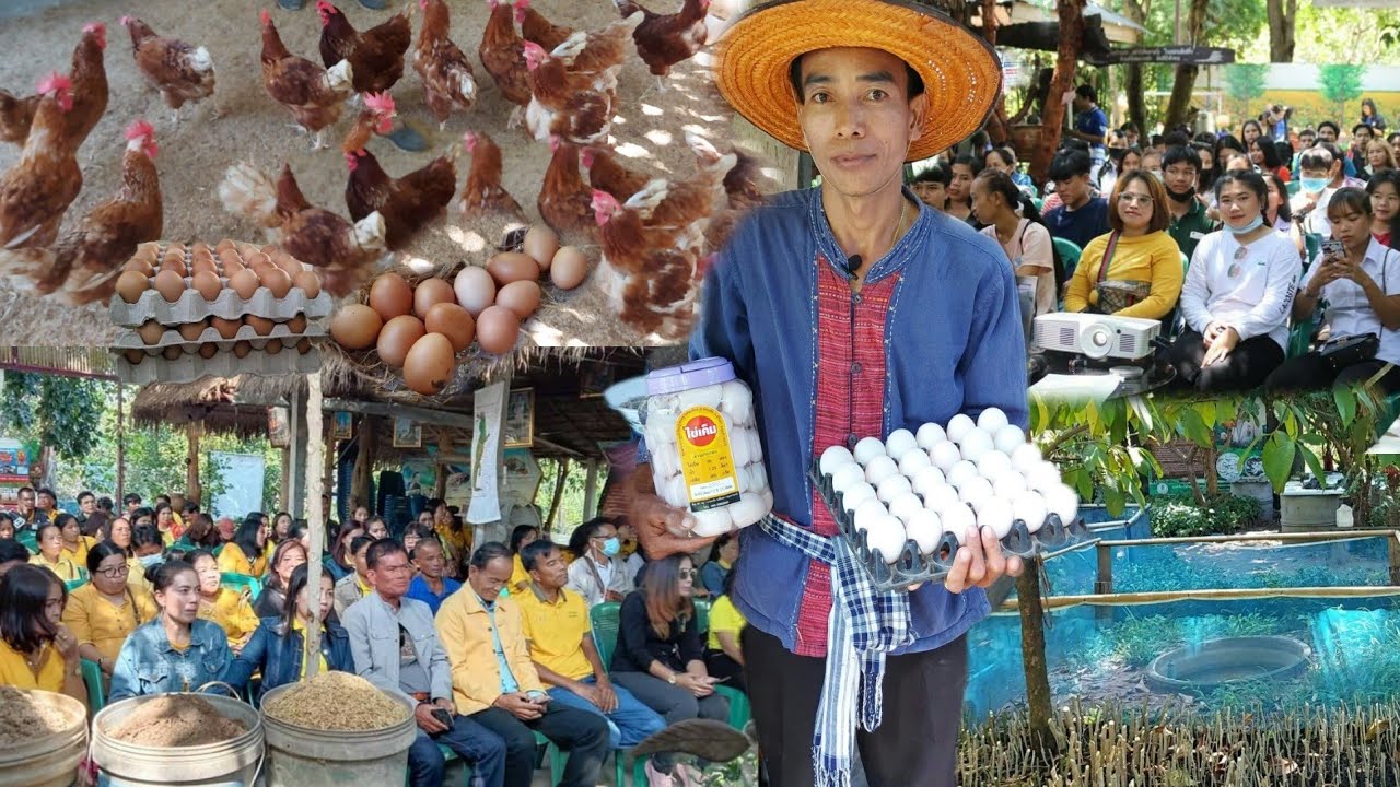 คนแห่มาดูงานทั่วประเทศ!! ทำเกษตรผสมผสาน1ไร่..มีรายได้5แสนบาทต่อปี