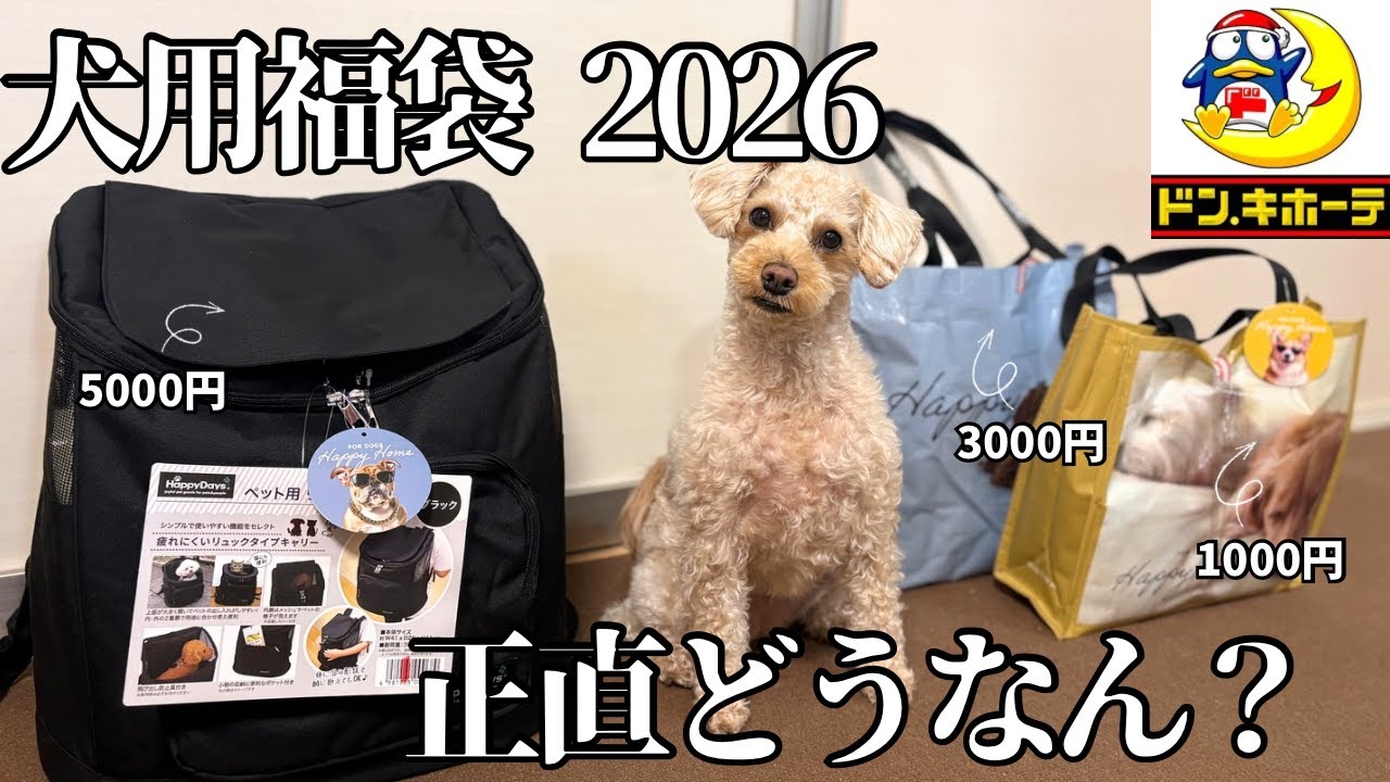 【最速】ドンキの犬用福袋2026🐶3種類を開封してみた！中身これ…当たり？ハズレ？