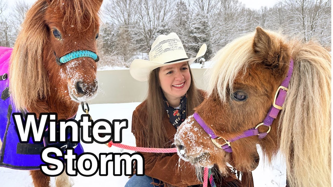 Horses In The Snow & Winter Week Barn Vlog