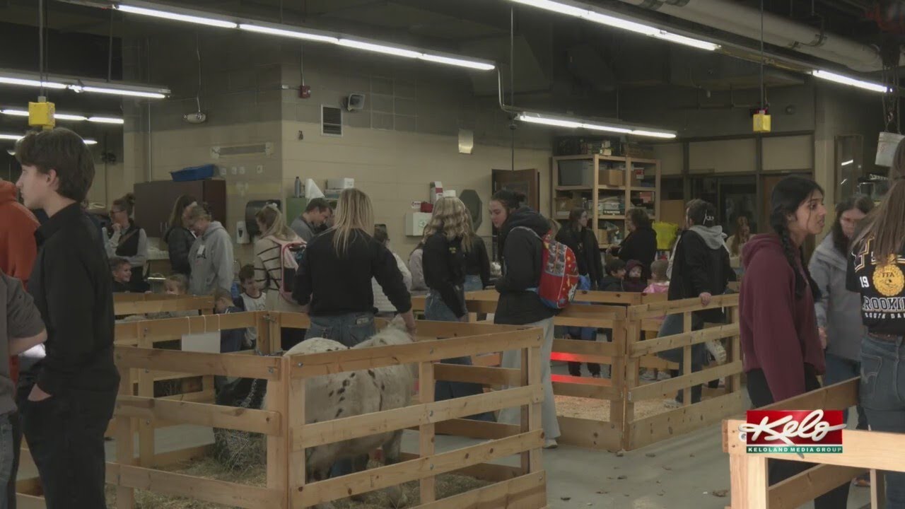 Animal nursery offers hands-on agriculture learning