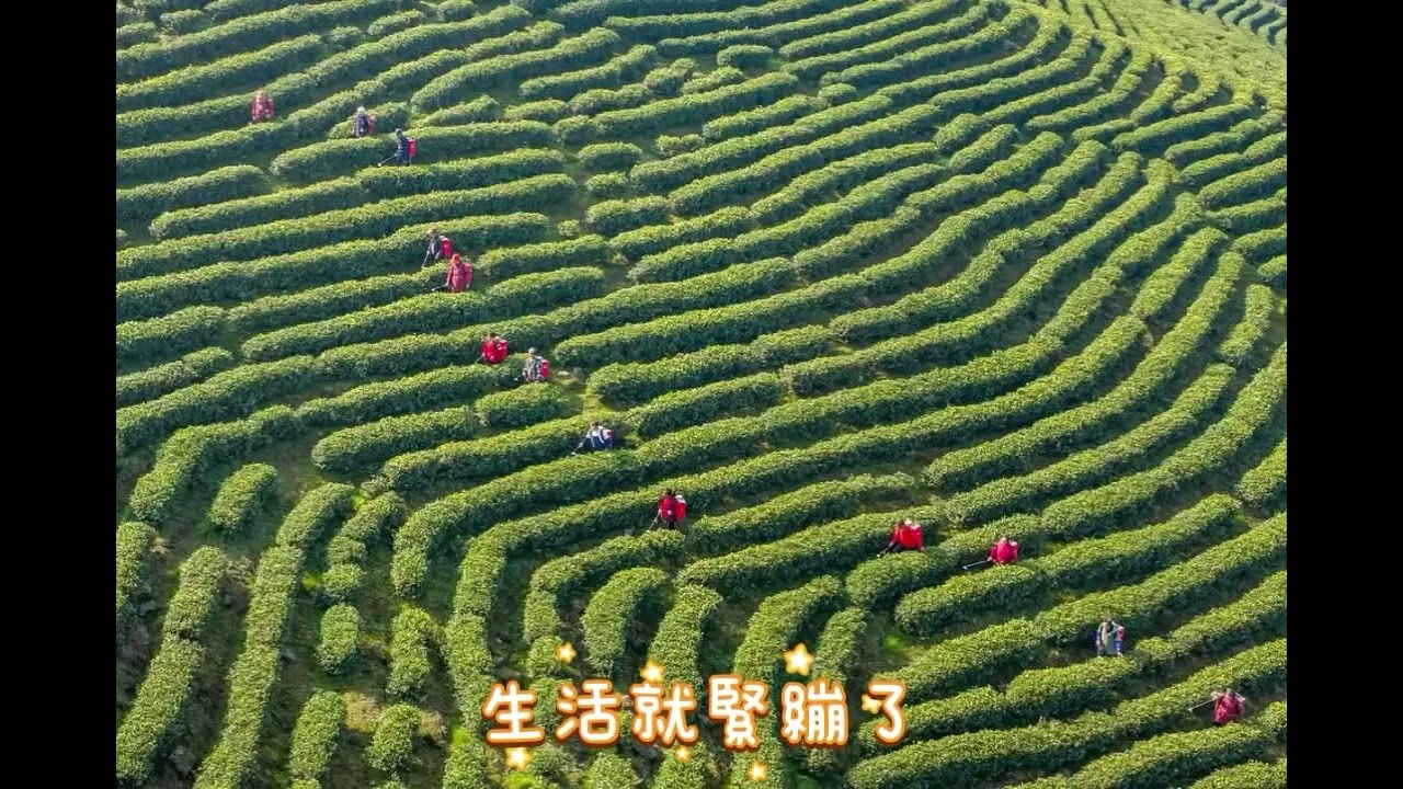 《最適合啟動「團購共營。消費致富」機制的是哪個族群？》