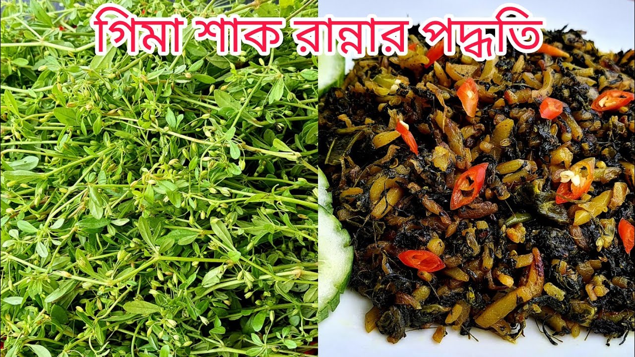 Gima Shak Recipe with tips to avoid bitterness. Gima Shak Recipe. Bengali Traditional Gima Shaak ...