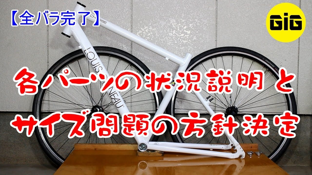 【全バラ完了】ルイガノの全バラで各パーツの状況を確認するのと一サイズ大きいフレームの問題を解決