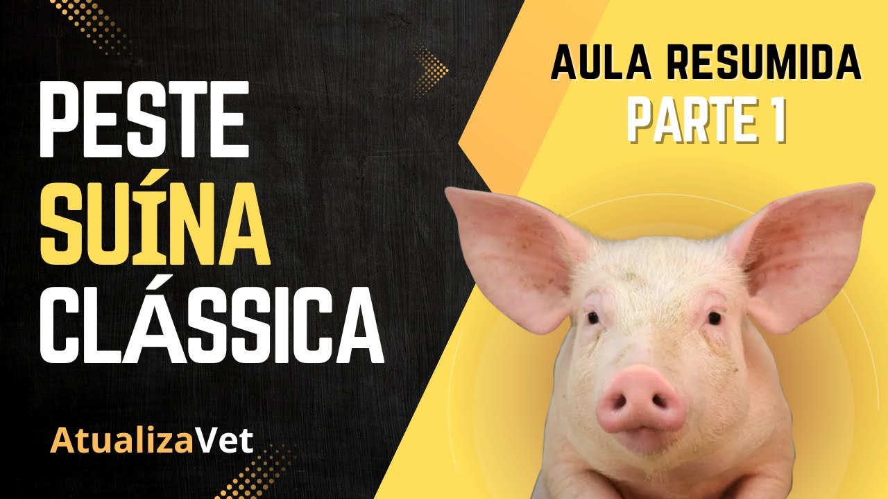 Peste Suína Clássica (PSC) 1ª Parte - AtualizaVet