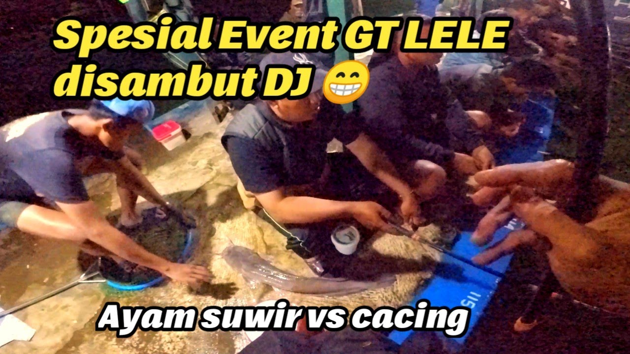 Bukan rijeki! Lele rame haup Babon janggut 🤣 lomba mancing Galatama lele