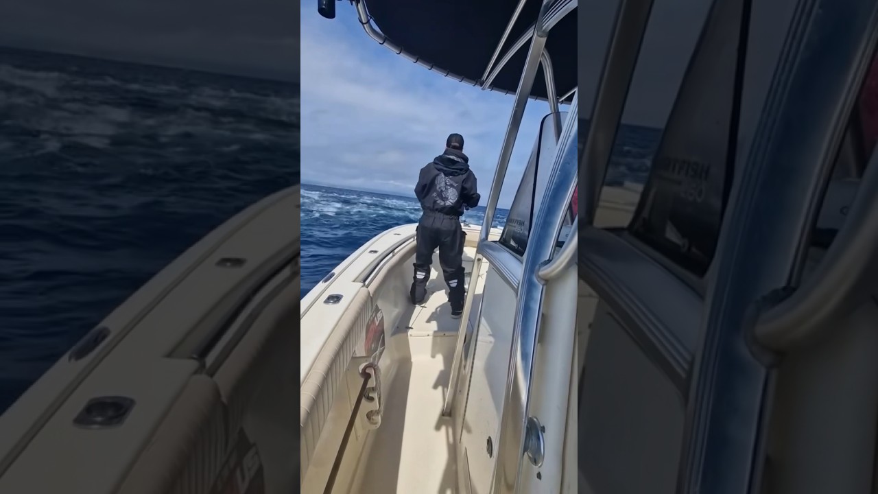 Is there anything better?! #fishing #fish #bigtuna #wow #ocean