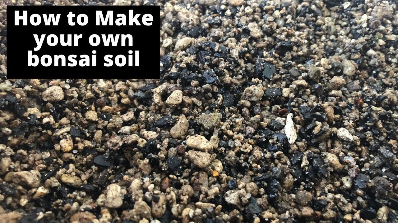 How to make bonsai soil - my bonsai soil mix