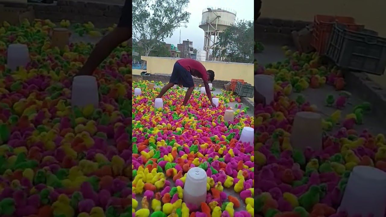 Beautiful colourful chicks
