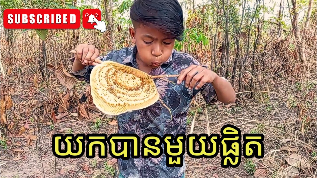ដើរយកឃ្មុំ