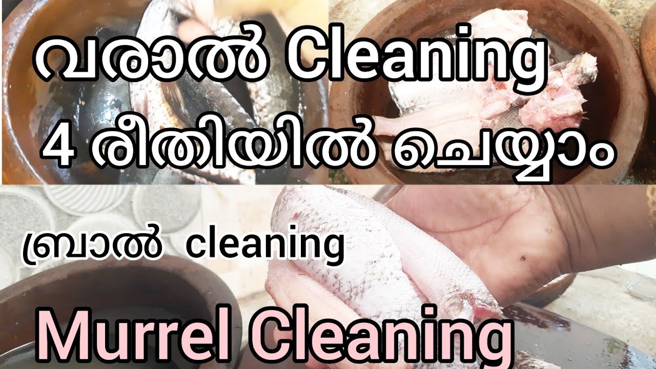 വരാൽ /ബ്രാൽ /Murrel Fish cleaning / വരാൽ കിട്ടിയാൽ മടി കാണിക്കേണ്ട /നാല് വിധത്തിൽ ഇനി നന്നാക്കാം