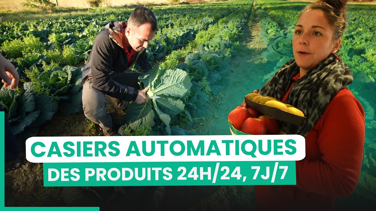 Des produits du terroir vendus directement depuis le producteur ! | 750GTV