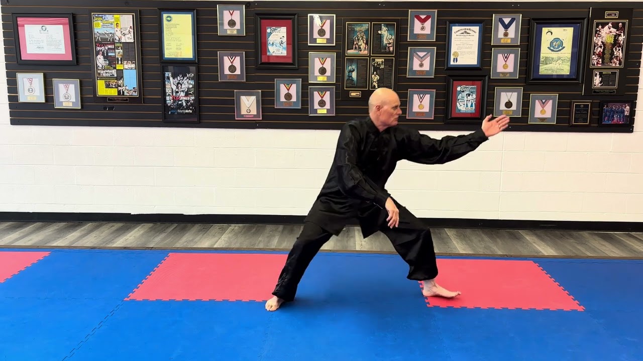 How to perform the Tai Chi movement “Snake Creeps Down”. 
