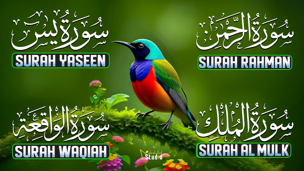 World's most beautiful recitation | Surah Yaseen, Surah Ar-Rahman, Surah Al-Waqiah & Surah Al-Mulk