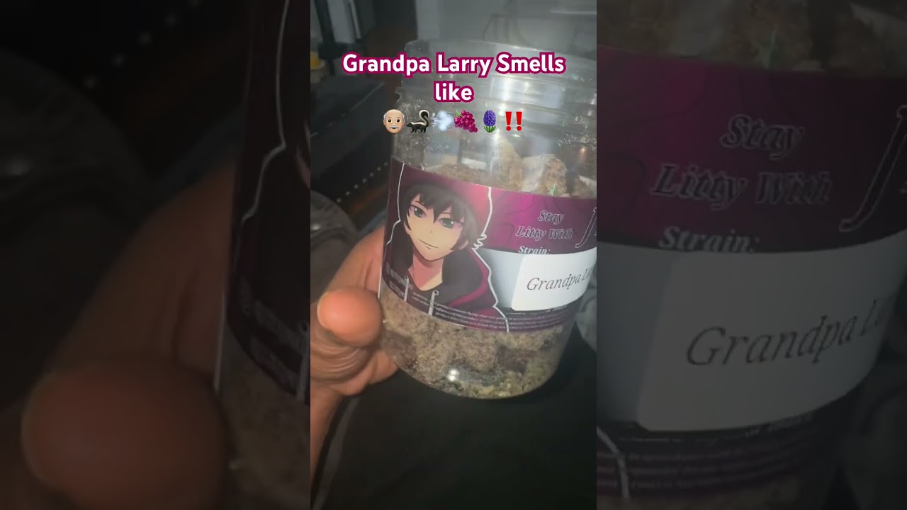 J Littys Grandpa Larry 2 #thcareview #stonersociety #cannabisdaily #weedgotmefaded #420 #JLitty