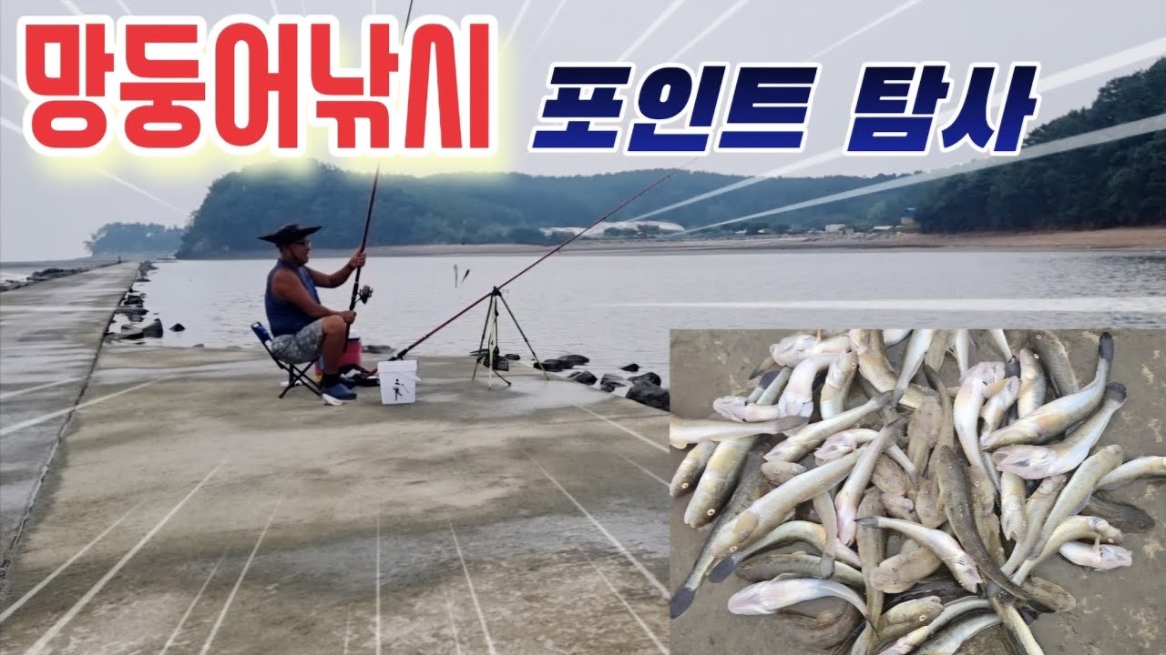 8월 26일 발판좋고 물때 상관없이 남녀노소 즐길수 있는 망둥어낚시 느나느나 포인트 찾았습니다 #바다생활 #망둥어낚시 #대부도