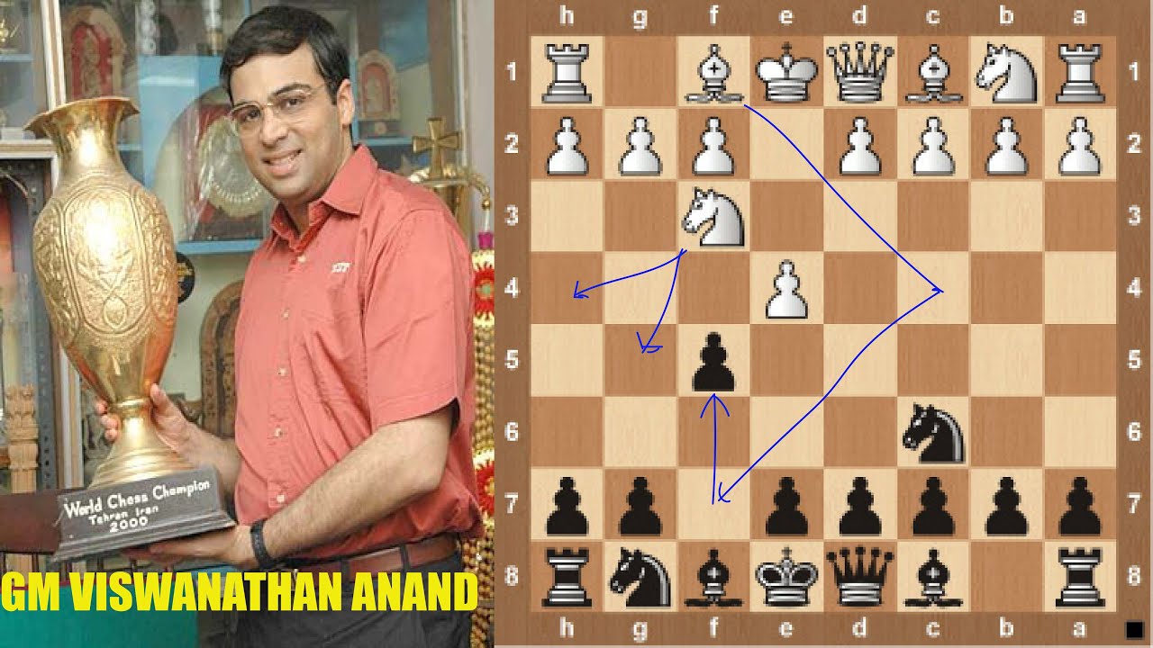 Colorado chess gambit accepted | all variations explained | GM Anand Viswanathan | games covered