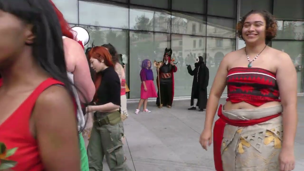 FanimeCon 2017 Disney Cosplay Gathering