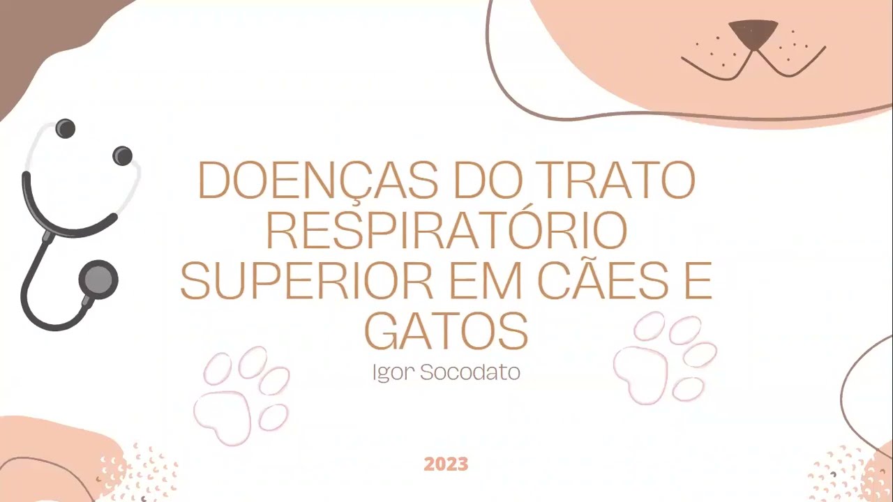 Doenças no Trato Respiratório Superior de Cães e Gatos