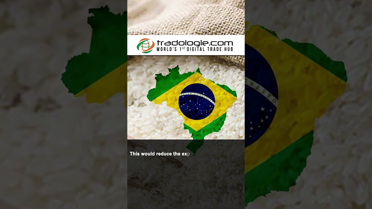 India's Rice Export Could Decline To 4-Year Low Of 16.5 Mt In 2023-24: FAO