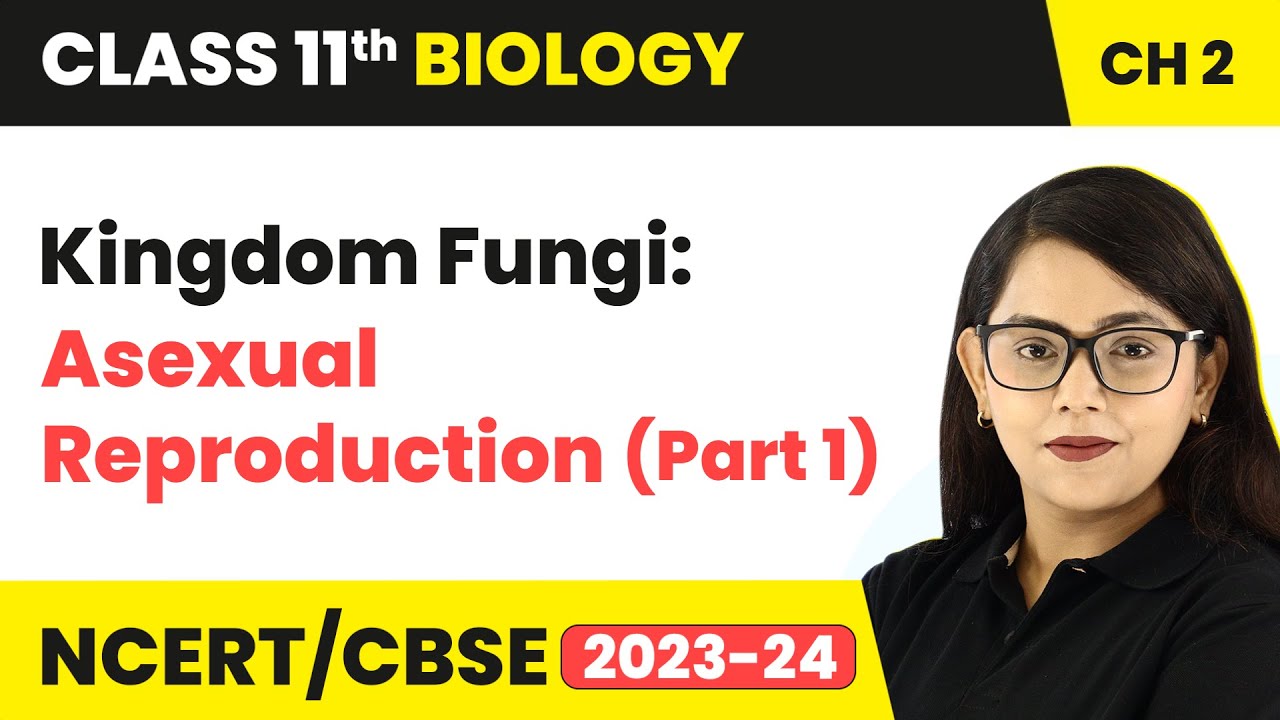 Kingdom Fungi: Asexual Reproduction (Part 1) | Class 11 Biology Chapter 2 | NCERT/CBSE