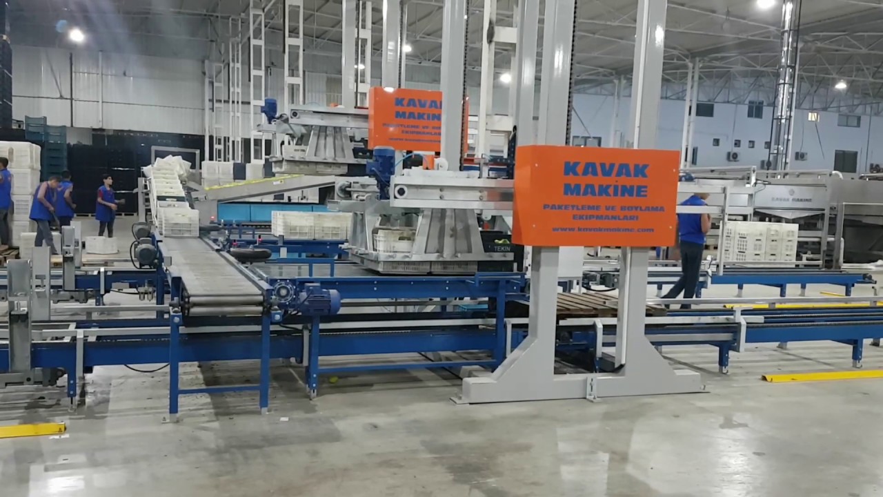 KAVAK MAKİNE - OTOMATİK PALET BOŞALTMA ROBOTU / AUTOMATIC BOXES DE - PALLETIZER