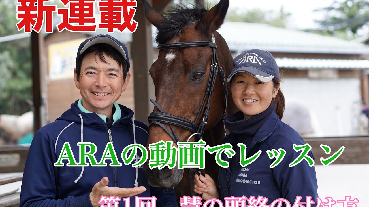 【動画で乗馬レッスン】第1回慧の頭絡の付け方｜神戸市明石市乗馬クラブ明石乗馬協会