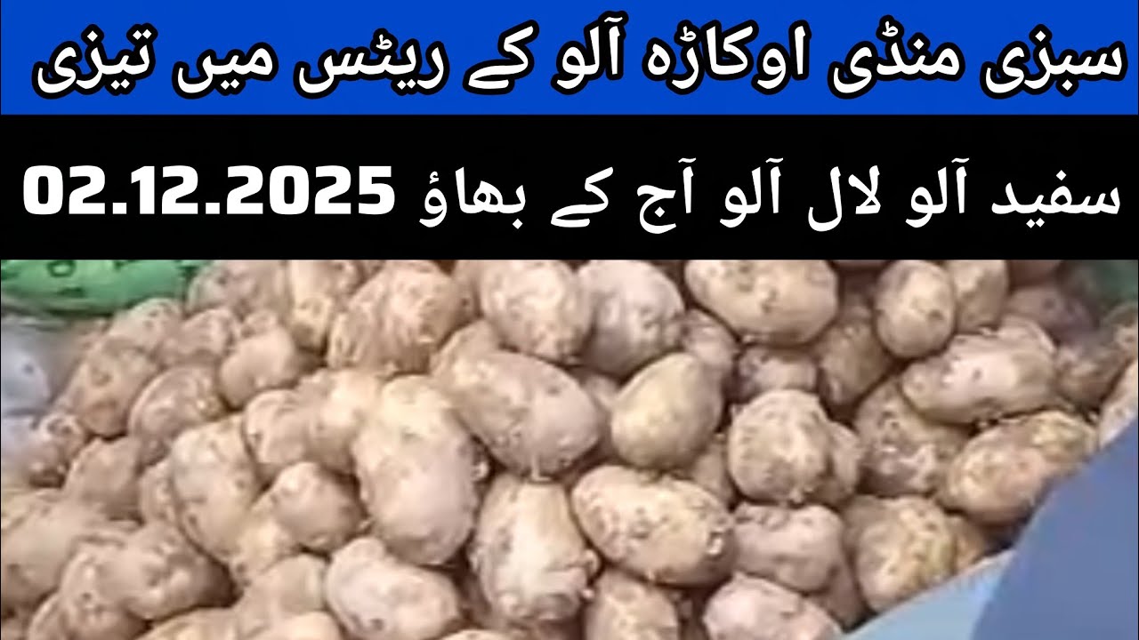 Potato mandi rate.aalu mandi today live update.okara mandi today potato update 02.12.2025