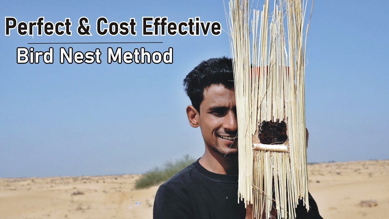Perfect and Cost effective |Bird Nest Making Method
