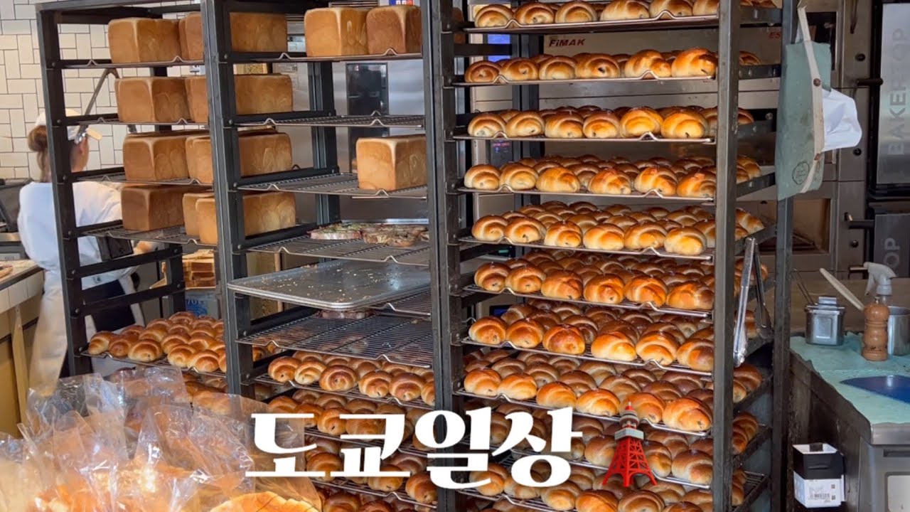가을이 찾아 온 도쿄🍁 학교출강으로 바빴던 11월의 일상