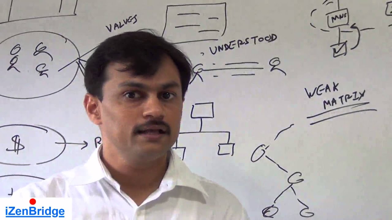 Project Management Professional (PMP)®  | Organizational Influences & Project Life Cycle