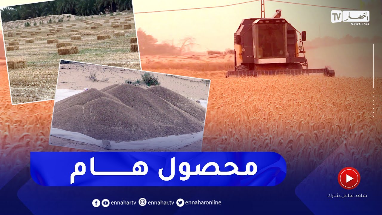 الوادي: "التريتيكال العلفي" رهان المستقبل يحقق نتائج باهرة بالصحراء