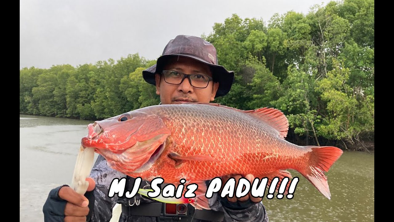 Operasi Muara / Ultralight Jigging + Casting *BONUS STRIKE MJ SAIZ PADU*