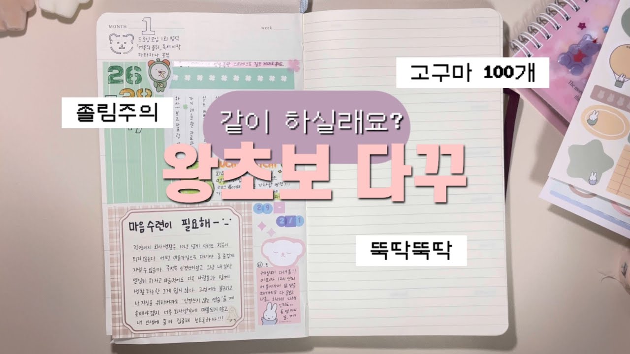 (노토킹/최소편집) 📝'다꾸'라 쓰고 '수면영상'이라고 읽는다😴 | 왕초보다꾸러의 뚝딱뚝딱 영상 |화이트노이즈|ASMR|수면유도|