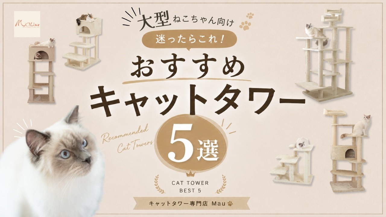 大型ねこちゃんにおすすめキャットタワー5選【キャットタワー専門店Mau】