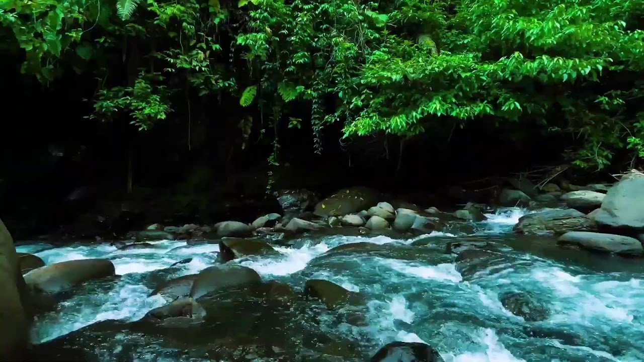 Dark Jungle River Flow &ndash; Deep Sleep Nature Sound with Rushing Water Sound