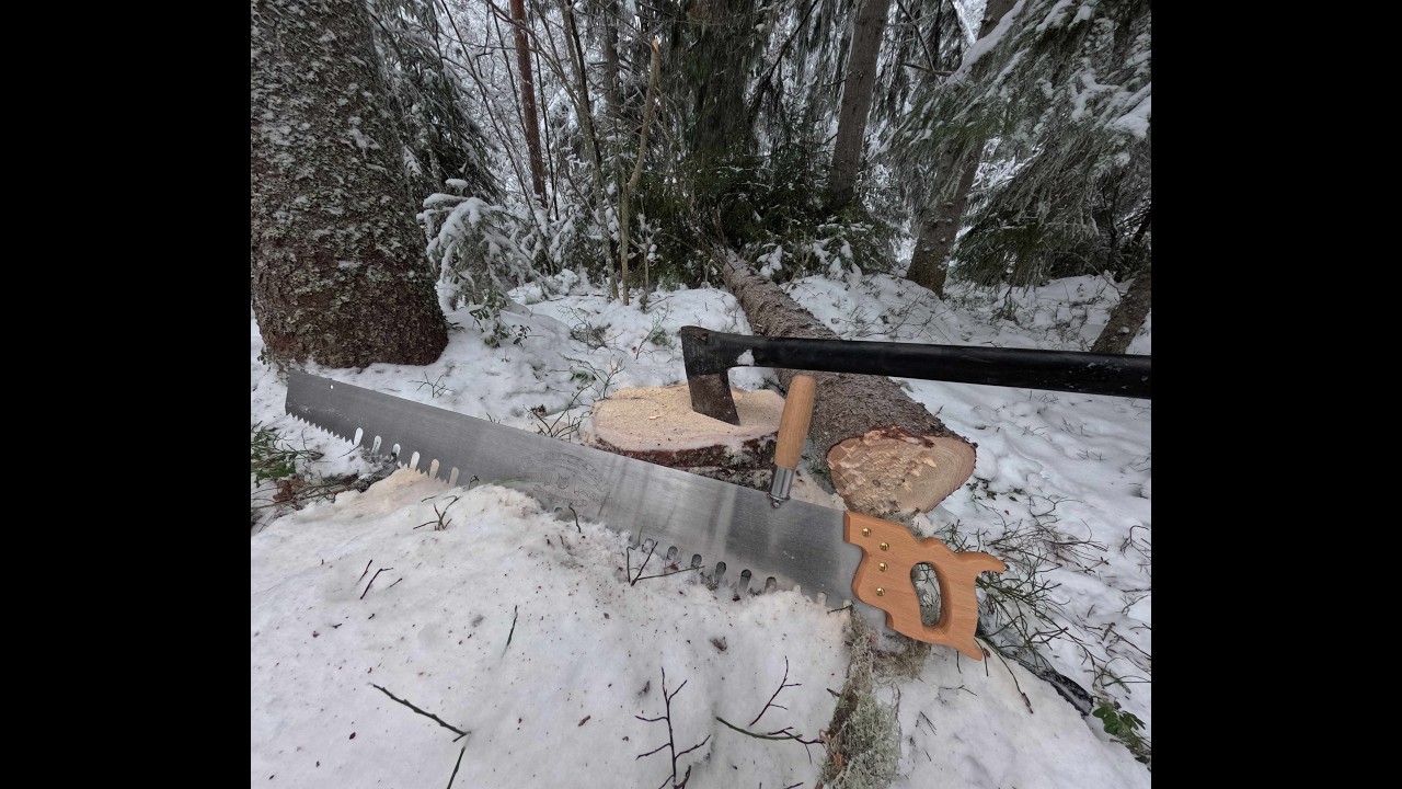 Sawing And Felling Trees Using The Old Method. (EP 2)