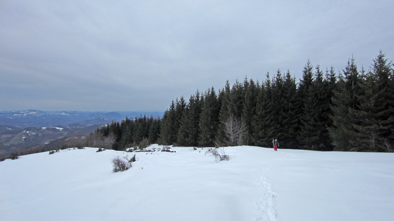Martovski pohod na Čemerno (The March Venture to Mt. Čemerno)